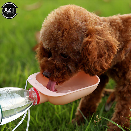 Travel Pet Water Bowl On The Go