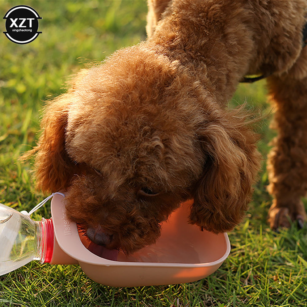 Travel Pet Water Bowl On The Go